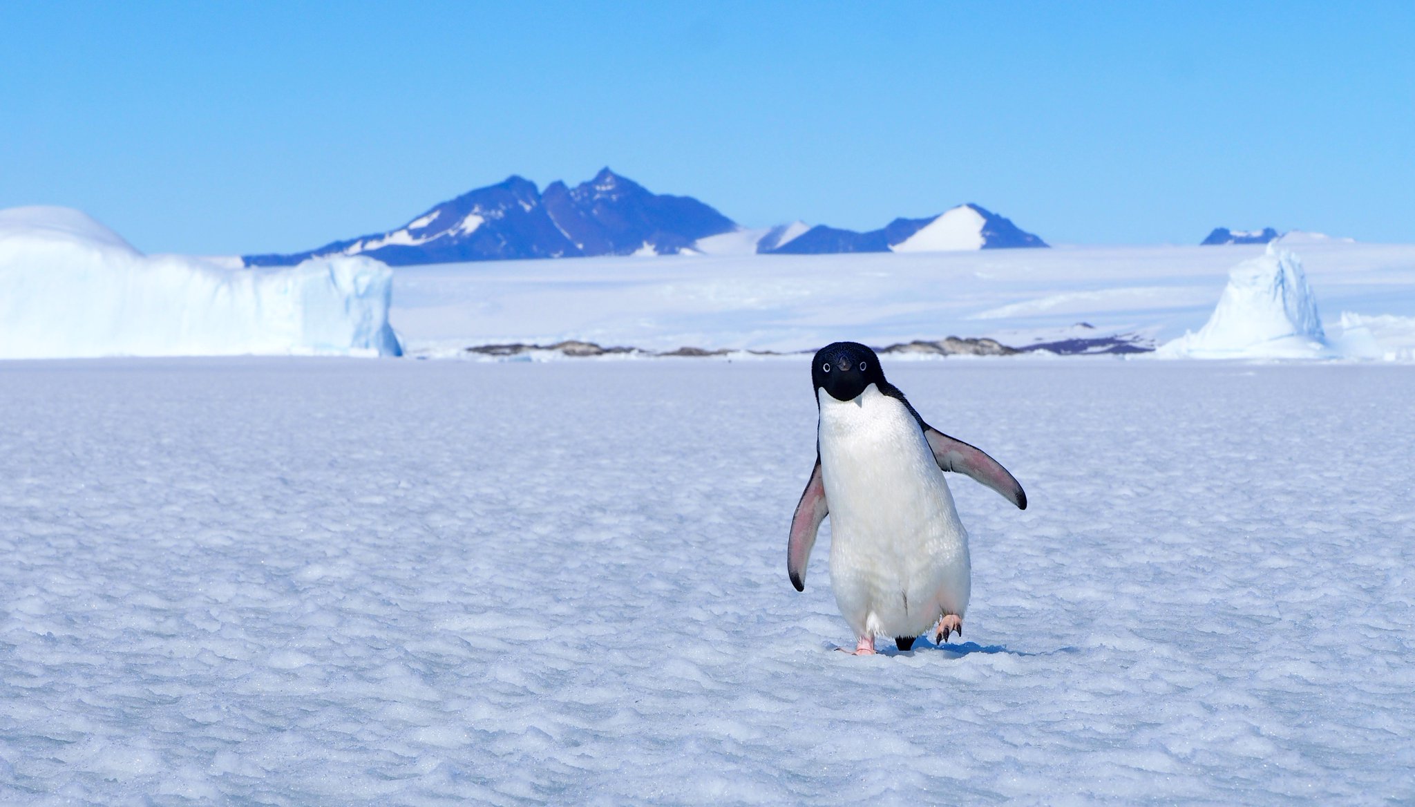 Countries – Antarctica – FAMILY HISTORY – A Lifetime of Research